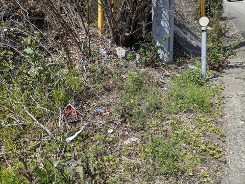 PXL_20240330_032656824