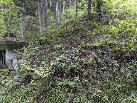 PXL_20240426_052647944