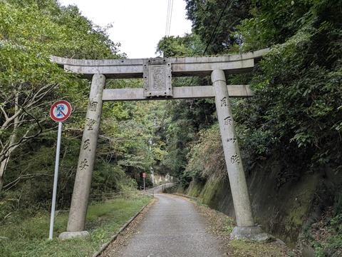 PXL_20251112_035645794