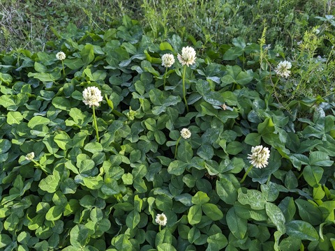 PXL_20240330_224923946