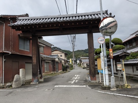 PXL_20241023_040649126