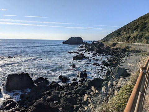 PXL_20241121_234025746