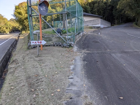 PXL_20241109_051944955