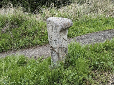 PXL_20240427_050705151