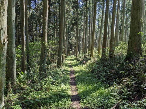 PXL_20240425_004938780