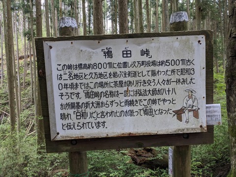 PXL_20240426_053648454