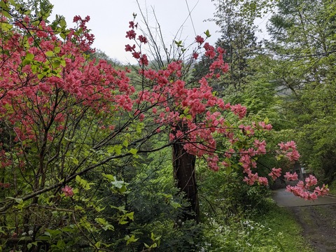 PXL_20240426_232403027