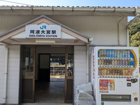 PXL_20251115_010852358