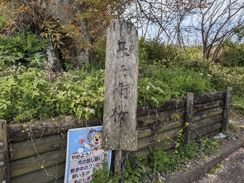 PXL_20240331_022304800