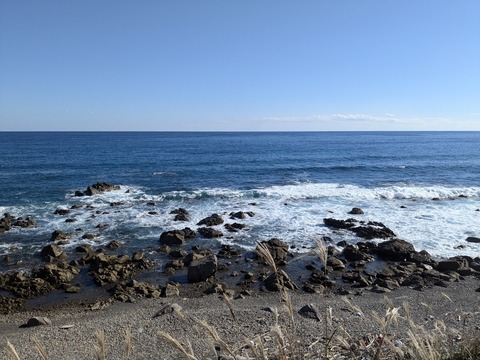 PXL_20241121_042208370