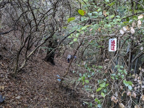 PXL_20240223_023148951