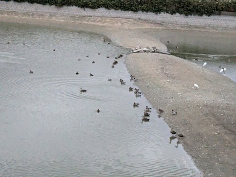 PXL_20241126_213818360