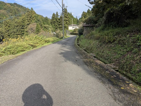 PXL_20251102_052555568