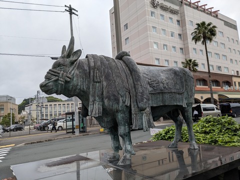 PXL_20240423_220502297