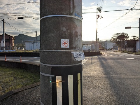 PXL_20241120_065304396