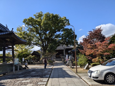 PXL_20241107_042611290