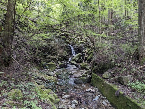 PXL_20240426_055602590.MP