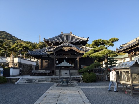 PXL_20241105_225143663