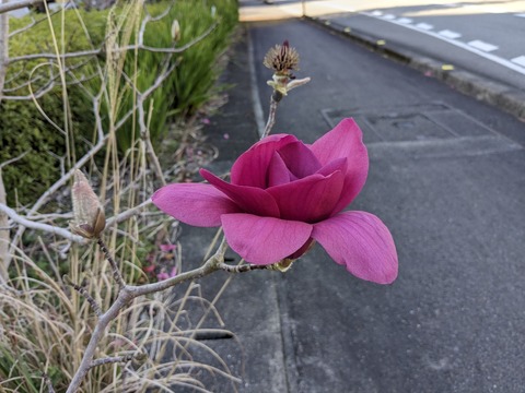 PXL_20240326_225328686