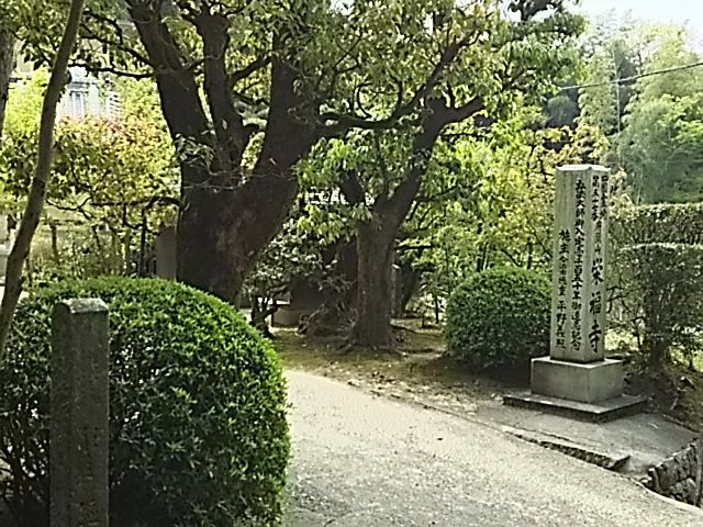 イメージ 27