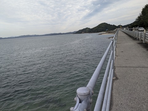 PXL_20241024_033450439