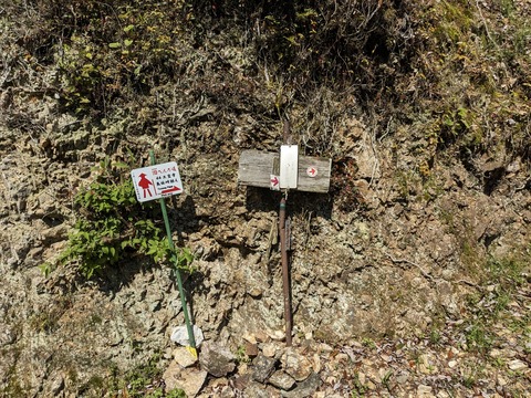 PXL_20240425_001158344