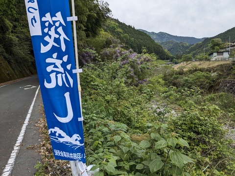 PXL_20240425_234038178