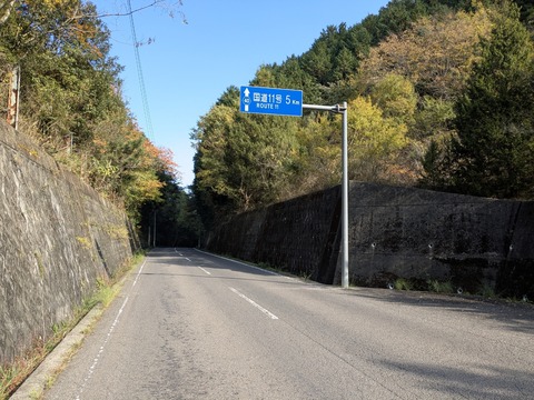 PXL_20251114_041905290