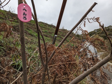 PXL_20240223_022645147