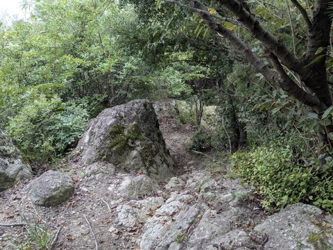 PXL_20250928_034502627