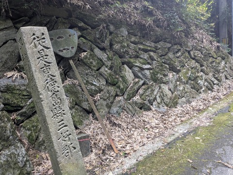 PXL_20251102_051424532