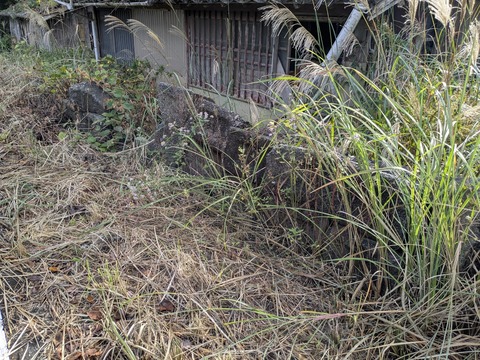 PXL_20251123_041325819