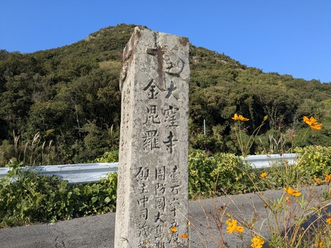 PXL_20251114_054637817