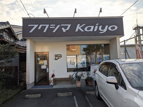 PXL_20241120_065347981