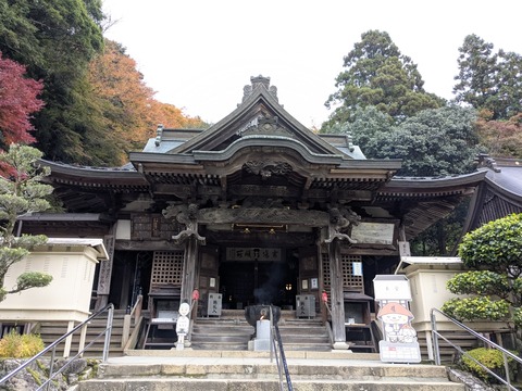 PXL_20251113_070826965