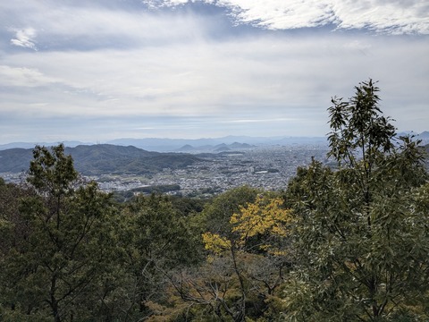 PXL_20251112_041551201