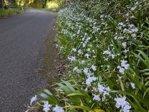 PXL_20250429_234530271