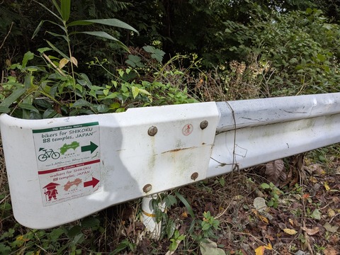 PXL_20251102_010841160