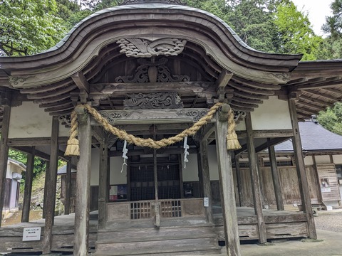 PXL_20240426_025338193