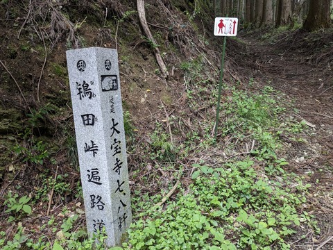 PXL_20240426_040137168