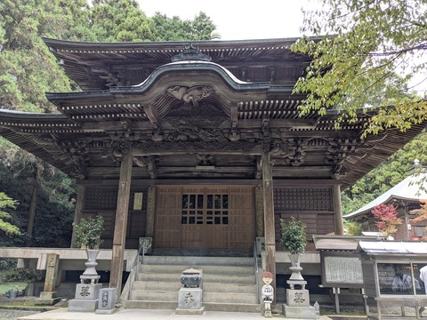 PXL_20251102_001346043