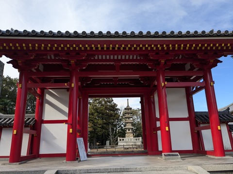 PXL_20241108_004206876