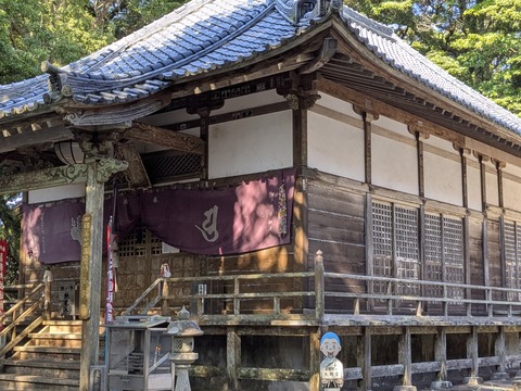 PXL_20251124_025009798