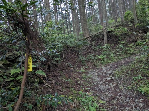 PXL_20240426_212904927