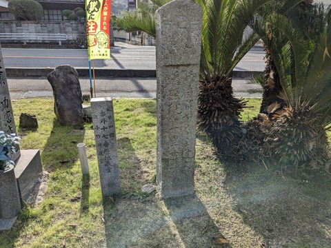 PXL_20241023_233608836