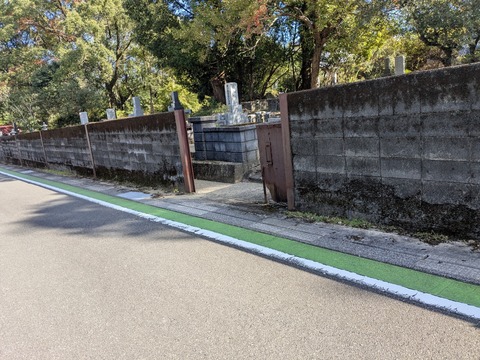 PXL_20251123_035157095