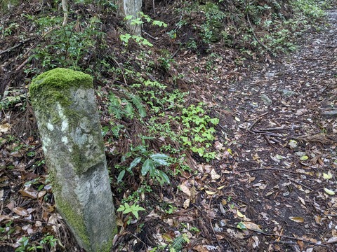 PXL_20240426_234202544