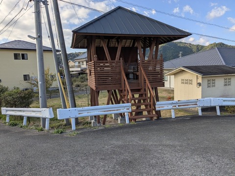 PXL_20251123_001001996