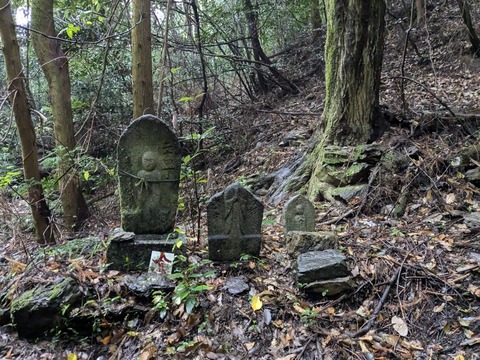 PXL_20241026_034559456