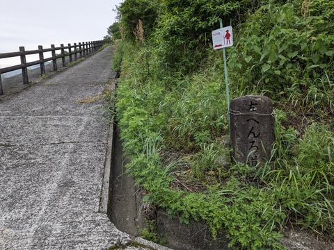 PXL_20240425_213312175